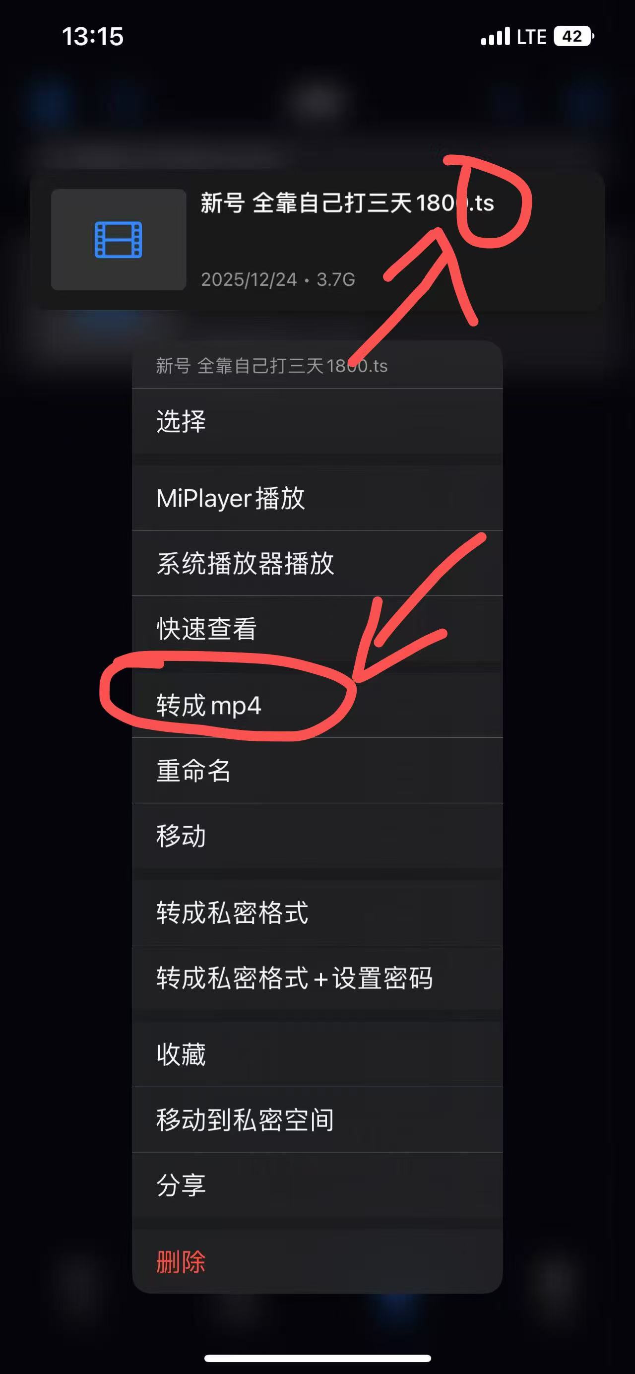 转成mp4